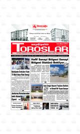 SEYDİŞEHİR TOROSLAR