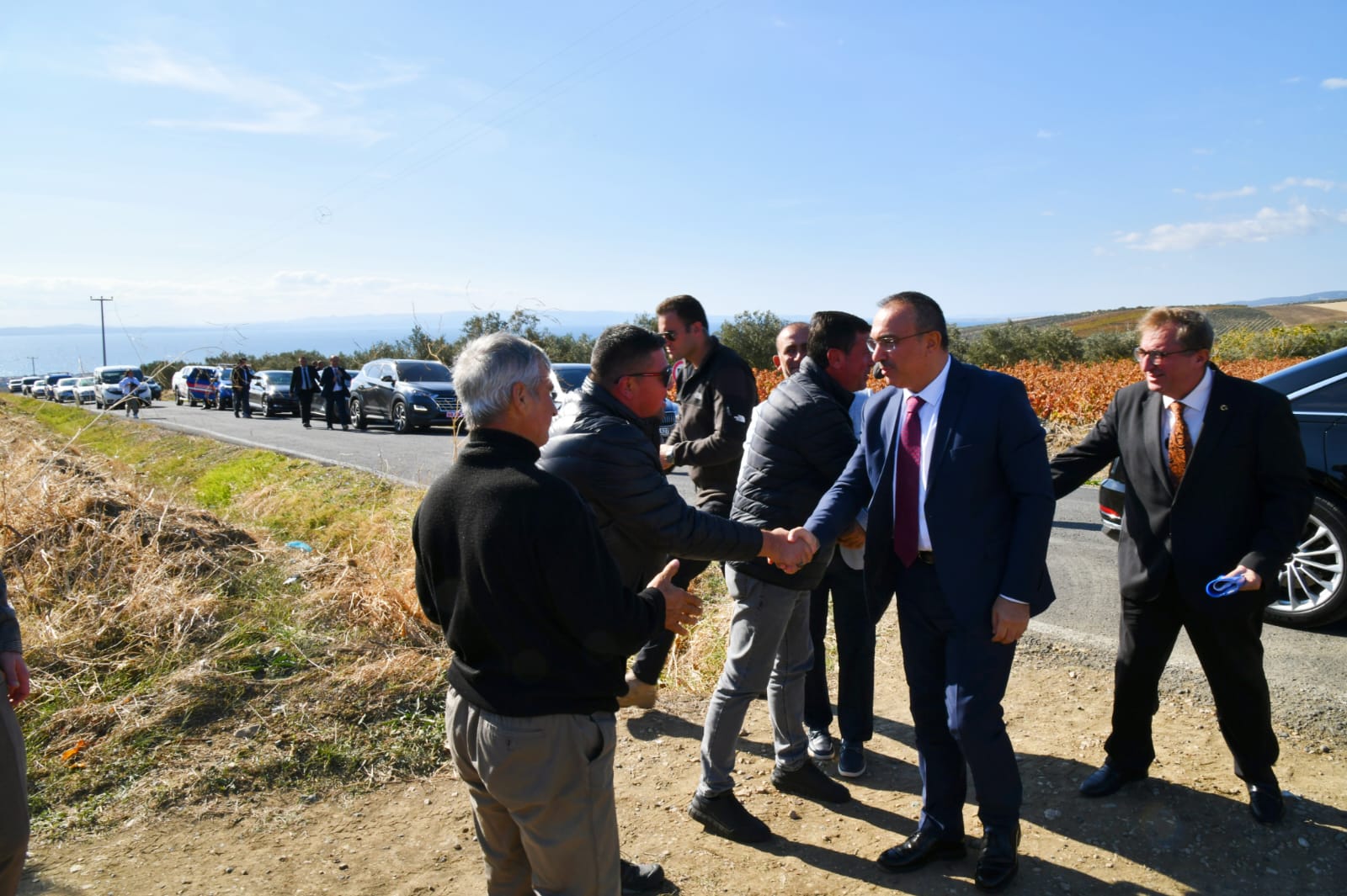 Vali Soytürk Zeytin Hasadına Katıldı