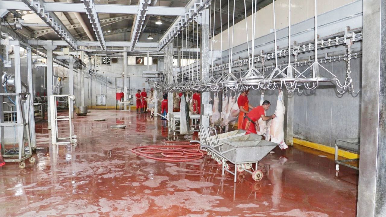 Mezbaha malzemeleri Malkara’ya aktarılacak