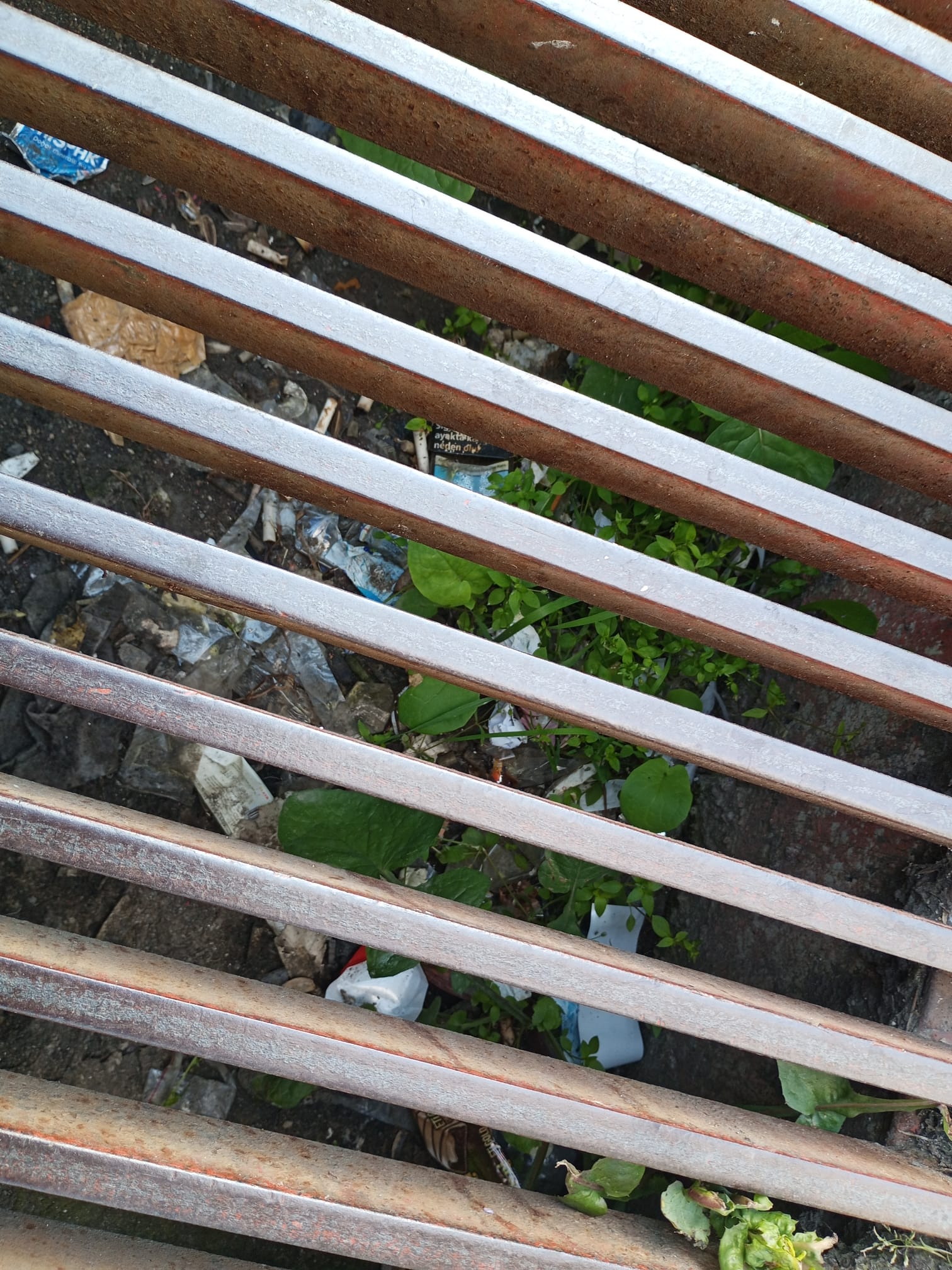 Mazgallar temizlenmiyor