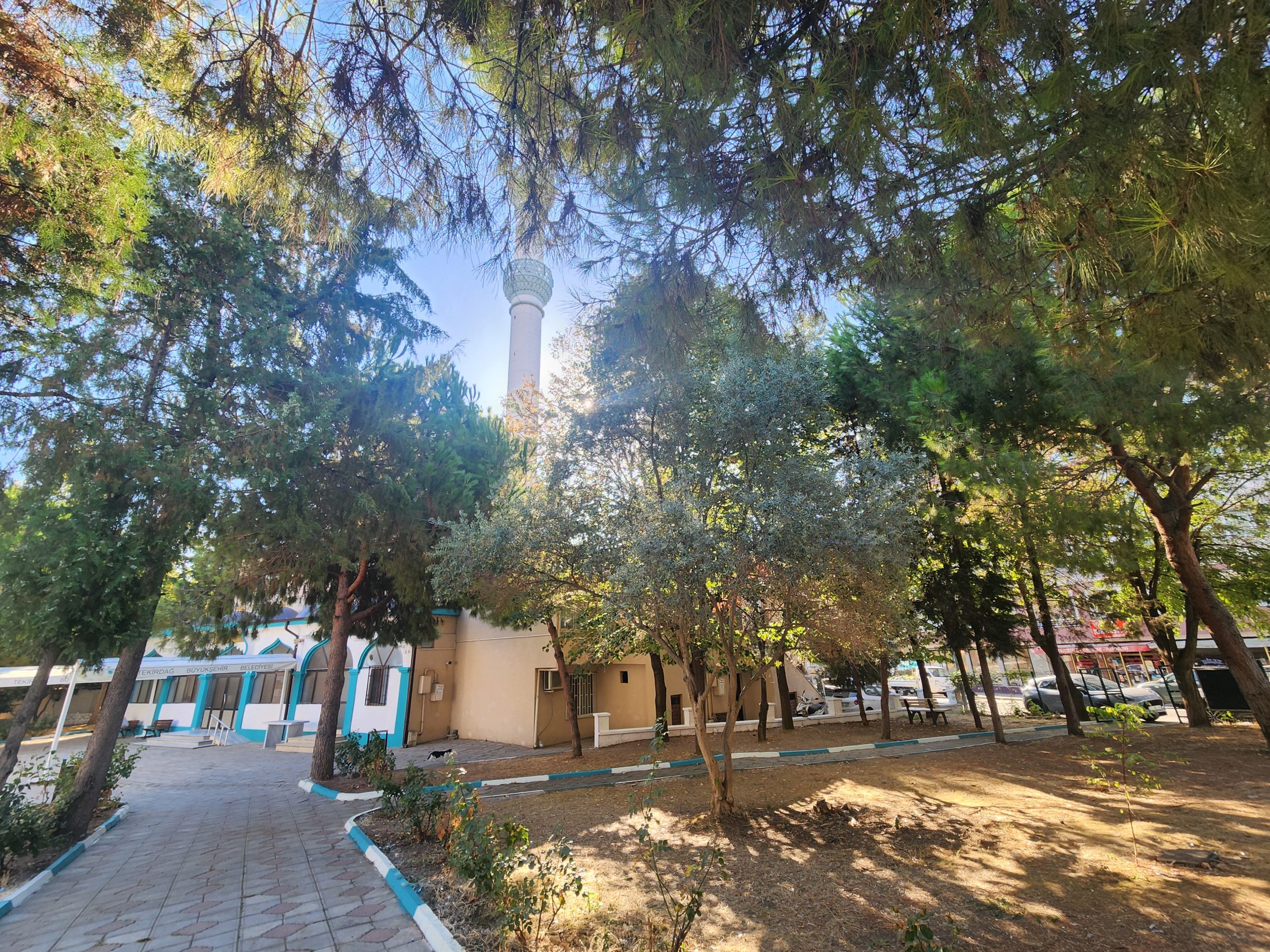 ALTINOVA YENİ CAMİİ’NDE AĞAÇ TARTIŞMASI: CEMAAT TEPKİ GÖSTERDİ, MÜFTÜLÜK İDDİALARIN ASILSIZ OLDUĞUNU SÖYLEDİ